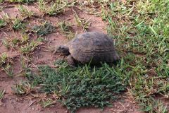IMG_0190-scaled