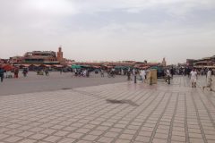IMG_0200-scaled