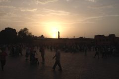 IMG_0217-scaled