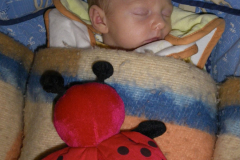 IMGP0117