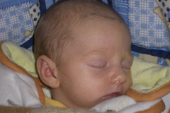 IMGP0118