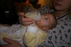 IMGP0205