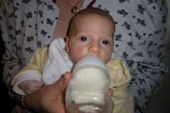 IMGP0208