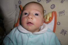 IMGP0212