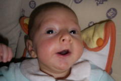 IMGP0217