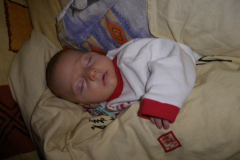 IMGP0218