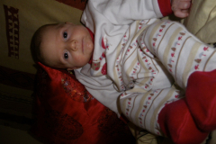 IMGP0220