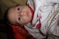 IMGP0221